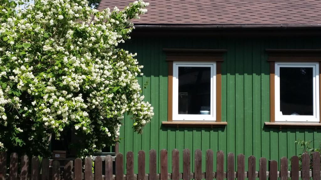 Summer House Ventspils Exteriör bild